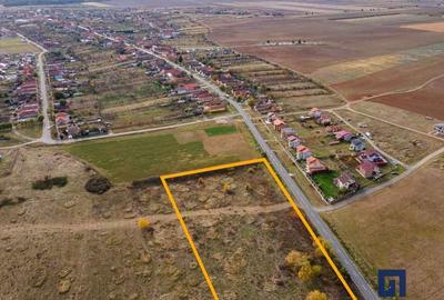 Teren Construcții extravilan de 19000 mp, în Pișchia - 2