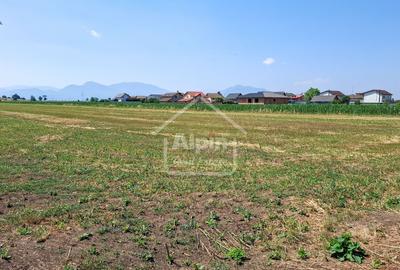 Teren Pretabil Investitie Harman - 15