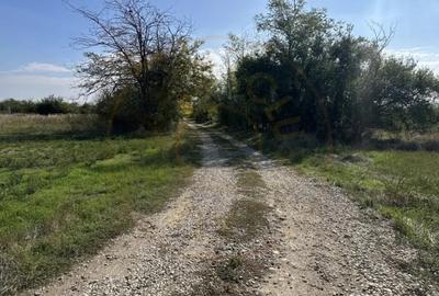 Teren de 3700 mp, în Nejlovelu - 2