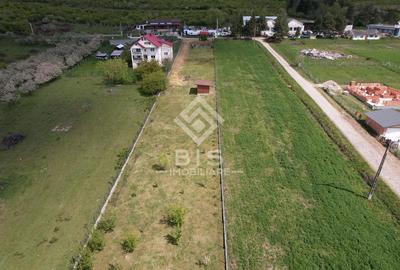 Teren Construcții intravilan de 2200 mp, în Crainimăt - 4