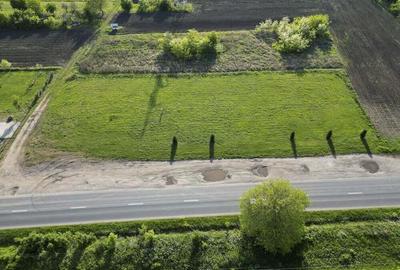 Inchiriere platforma teren 4.000 mp Curtici - 13