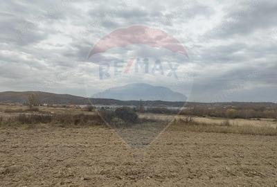 Teren de 11900 mp, în Fârdea - 5