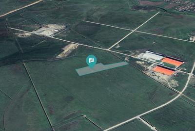 Teren agricol în Sânandrei, aproape de DN69 - 2