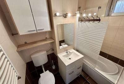 Apartament cu 3 camere decomandat în Elisabetin - 13