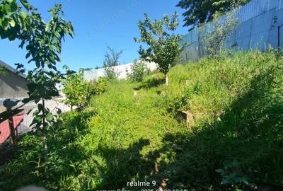 Casă cu Teren 260 Mp în Muncitoresc - 13