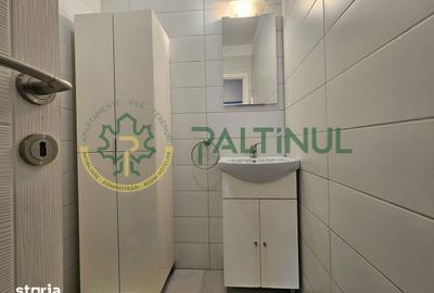 Apartament cu 3 camere în Lazaret - 4