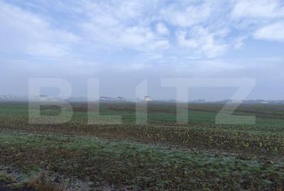 Teren de 15000 mp, în Miroslava