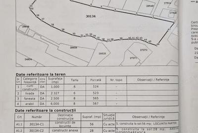 Teren de 12000 mp, în Păulești - 3