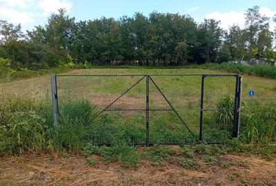 Spațiu comercial, în Grindu - 3