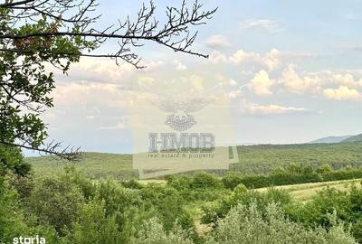 Spațiu comercial, în Șura Mare - 3