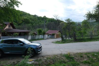 7700 Euro vanzare 220 mp teren asfalt apa gaz si curent Cosminele Prahova superb - 8