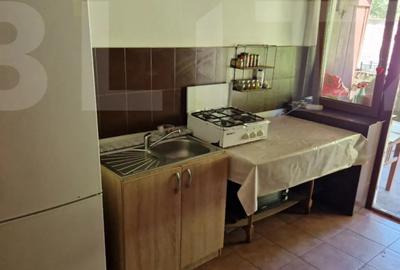 Casă cu 4 camere cu Teren 3166 Mp în Bejan - 12