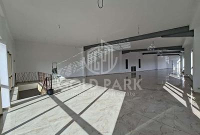 SHOWROOM - Expunere si Vitrina Mare  la Bulevard -Principal- Parcari - 5