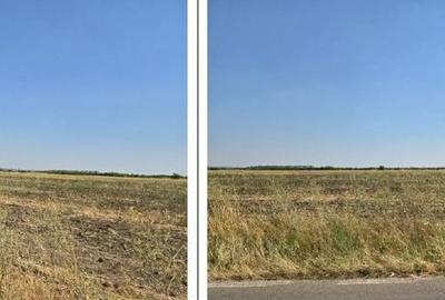 Teren de 4300 mp, în Smârdioasa - 4