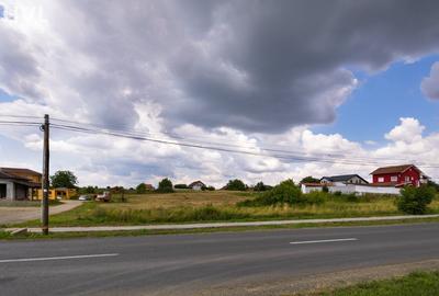 Teren Construcții intravilan de 2481 mp, în Zădăreni