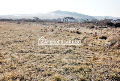 Teren  Intravilan 2.075 mp. 59.euro mp.Sangeorgiu de Mures - 2