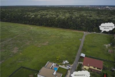 Pipera 10.000 mp ( Langa Padure ) Pipera 10.000 mp ( Langa Padure ) - 3