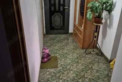 3 camere Exercitiu Teilor parter 78mp balcon 115000euro - 3