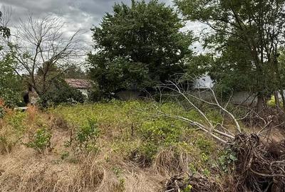Casă cu Teren 943 Mp în Vâlcelele - 4