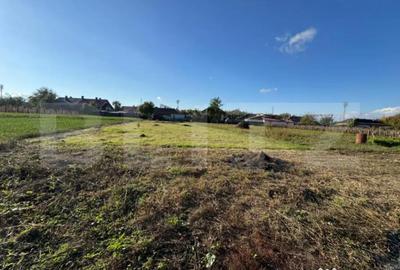 Casă cu 3 camere cu Teren 1079 Mp în Central - 2