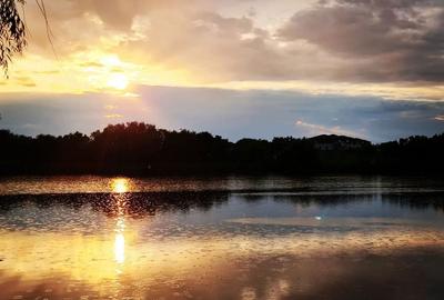 Teren de 2771 mp, în Corbeanca - 2