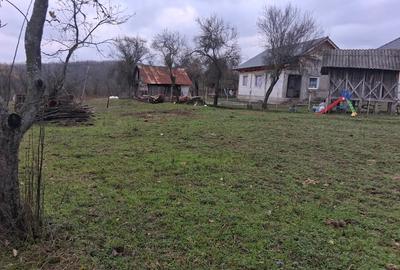 Casa de vanzare ! - 3