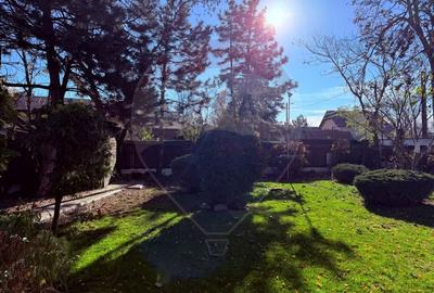 INCHIRIERE Vila 5 camere Otopeni/ Ferme - 43