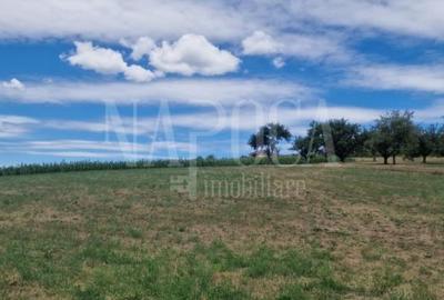 Teren intravilan pentru constructii de vanzare in Iris, Cluj Napoca - 3