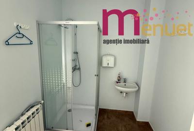 Spatiu comercial,240 mp,zona E3 - 8