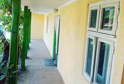 Casa de vanzare sat Tes jud Timis - 3