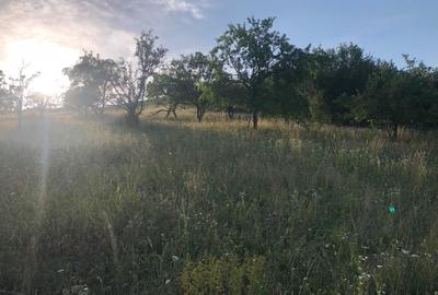 Teren de 2900 mp, în Dezmir - 1