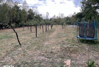 Casă cu 2 camere cu Teren 3000 Mp în Vaideeni - 3