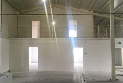 HALA DEPOZITARE ACCES DIRECT CENTURA - 3