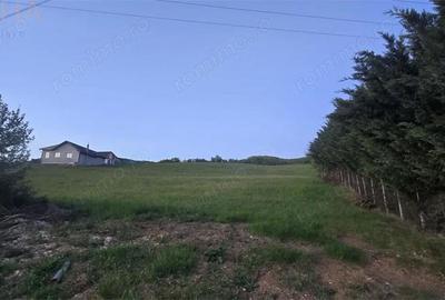 Teren de 5000 mp, în Crainimăt - 2