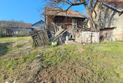 Casă cu 4 camere cu Teren 15000 Mp în Bichiș - 11