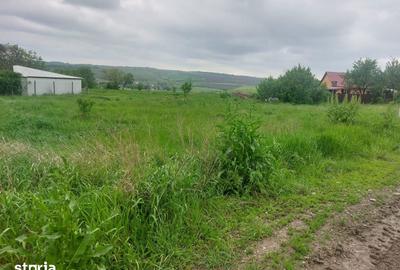 Teren de 1100 mp, în Miroslava - 4
