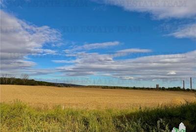 Teren industrial 7.200 mp / DN1B Zona showroom-uri au... - 16