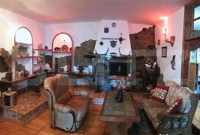 Casă cu 5 camere cu Teren 3000 Mp în Central - 17