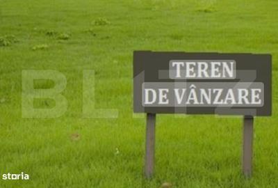 Teren de 10000 mp, în Moara