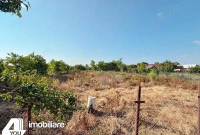 Proprietate in Graniceri, formata din casa + teren intravilan 2880 mp - 9
