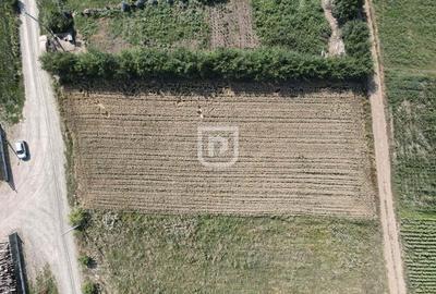 Teren 2000mp INTRAVILAN | Ilisesti | Bucovina - 2