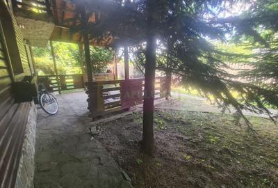 Vila de vanzare in Brebu - Zona Brebu Manastirei - 7