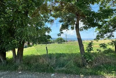 Teren 1,534mp Sighetu Marmatiei / Strada Tractorului Teren 1,534mp Sighetu Marmatiei / Strada Tractorului - 3