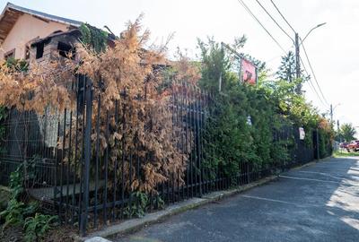 Vanzare imobil cu functiune mixta Ungureni/ Dambovita - 4