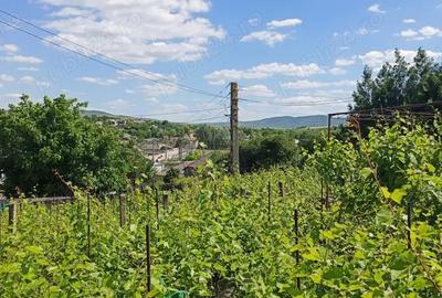 Casă cu 4 camere în Lunca - 9