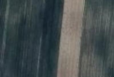 Teren agricol extravilan de 4885 mp, în Bucovăț (Remetea Mare) - 2