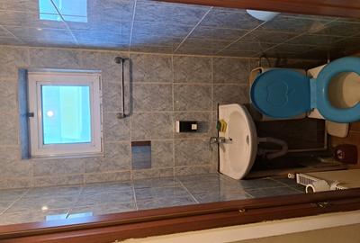 Spațiu comercial, de 50 mp, în Pantelimon