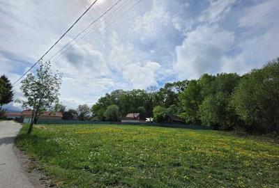 Spațiu comercial, în Lunca Calnicului - 1