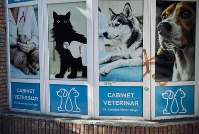 Spațiu comercial, în Central - 2