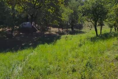 Teren intravilan + extravilan 10.537 mp  casa, livada sau ferma de familie - 4